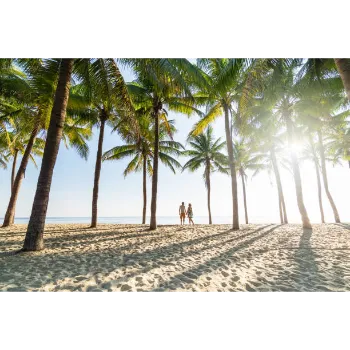 Natural Palm Trees 